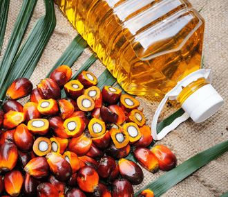 Palm Oil
